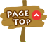 Page Top