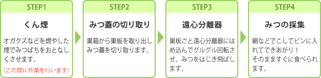 はちみつができるまで（くん煙・みつ蓋の切り取り・遠心分離器・みつの採集）