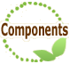 Components of Propolis