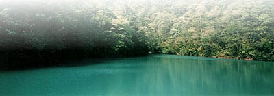 蜂場近くの小さな湖