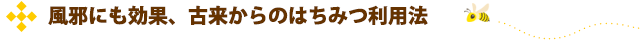 風邪にも効果、古来からのはちみつ利用法