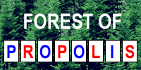FOREST OF PROPOLIS