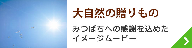 大自然の贈りもの