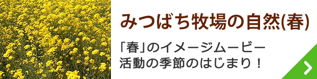 みつばち牧場の自然（春）