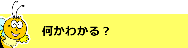 何かわかる？